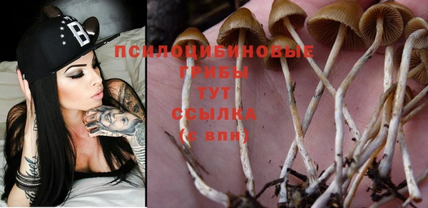прущие крисы Бугульма