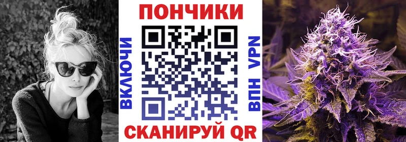Бошки марихуана семена  Купить закладки  Железногорск-Илимский 